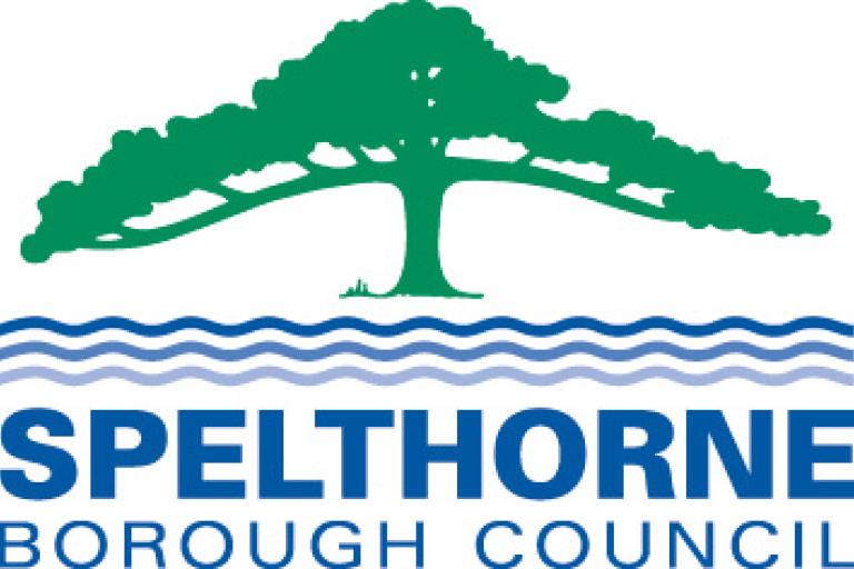 party logo