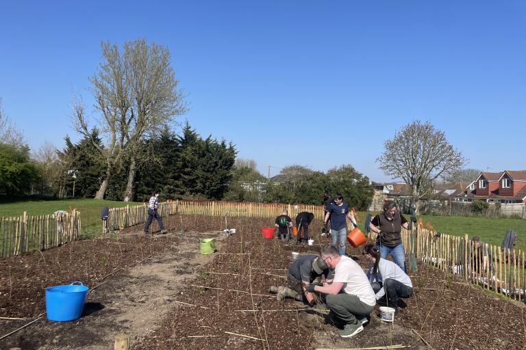 community planting