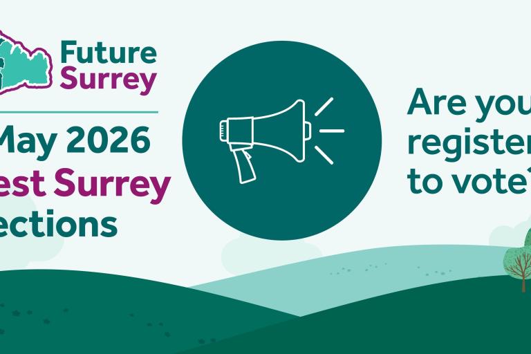 West Surrey elections 2026