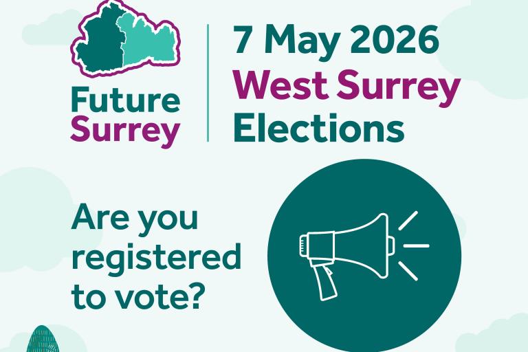 West Surrey elections 2026