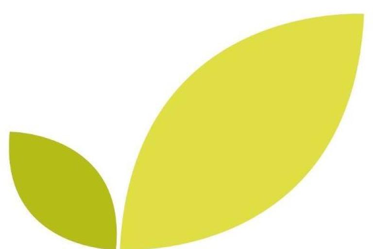 Elmsleigh centre logo