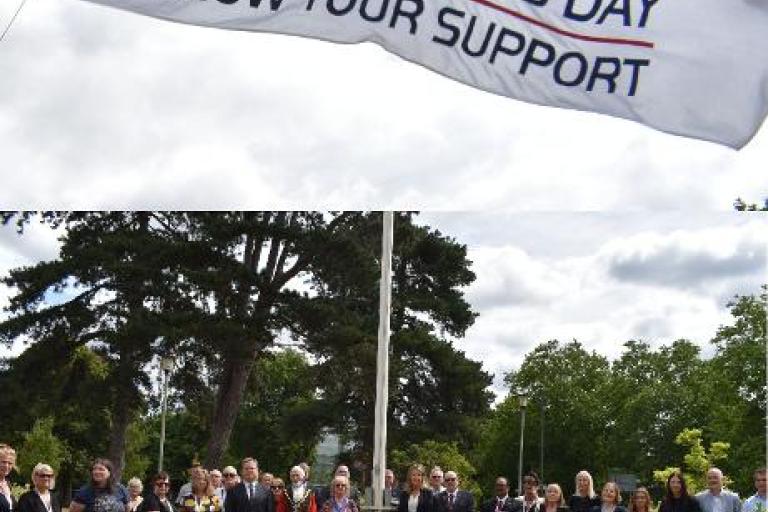 Armed force day picture 26 june